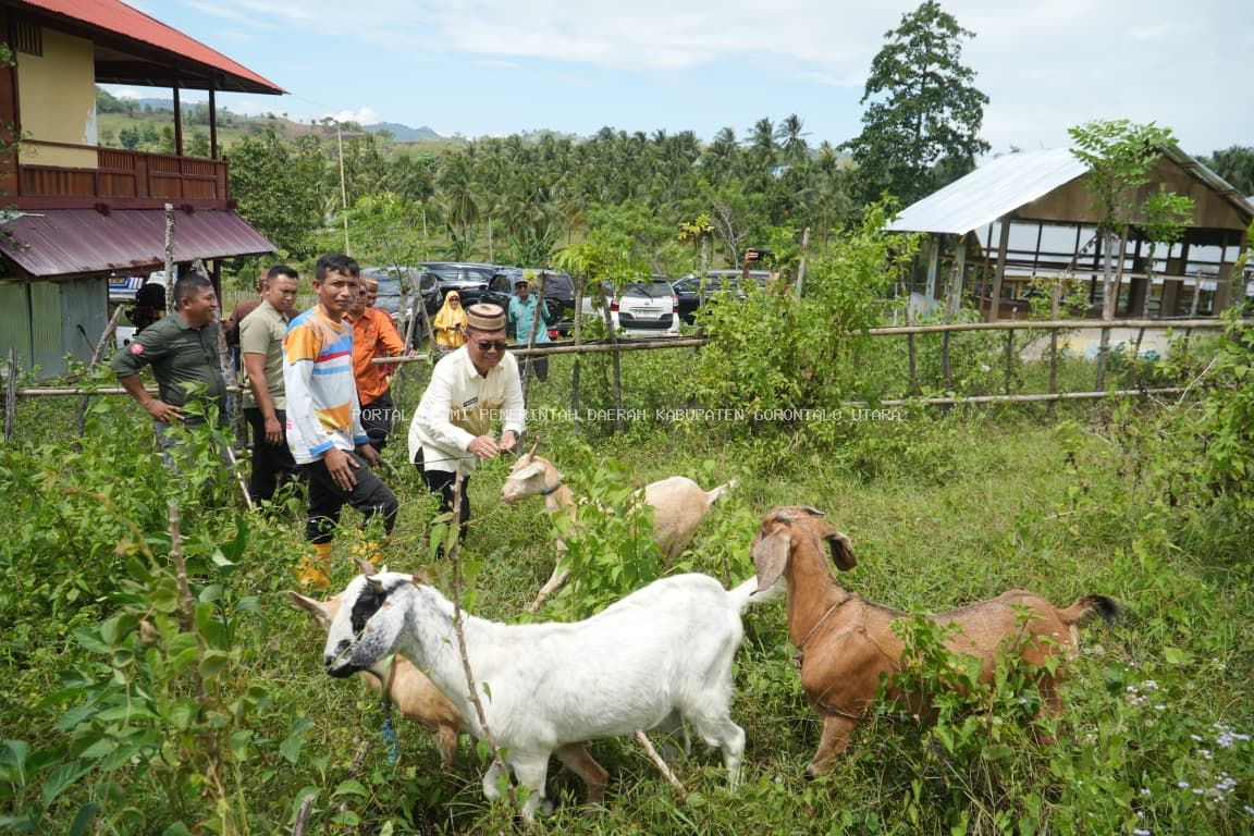 Guna Optimalkan Program Unggulan, Bupati Thariq Modanggu Monev Langsung Mini Ranch G2-10 Plus di Tomilito