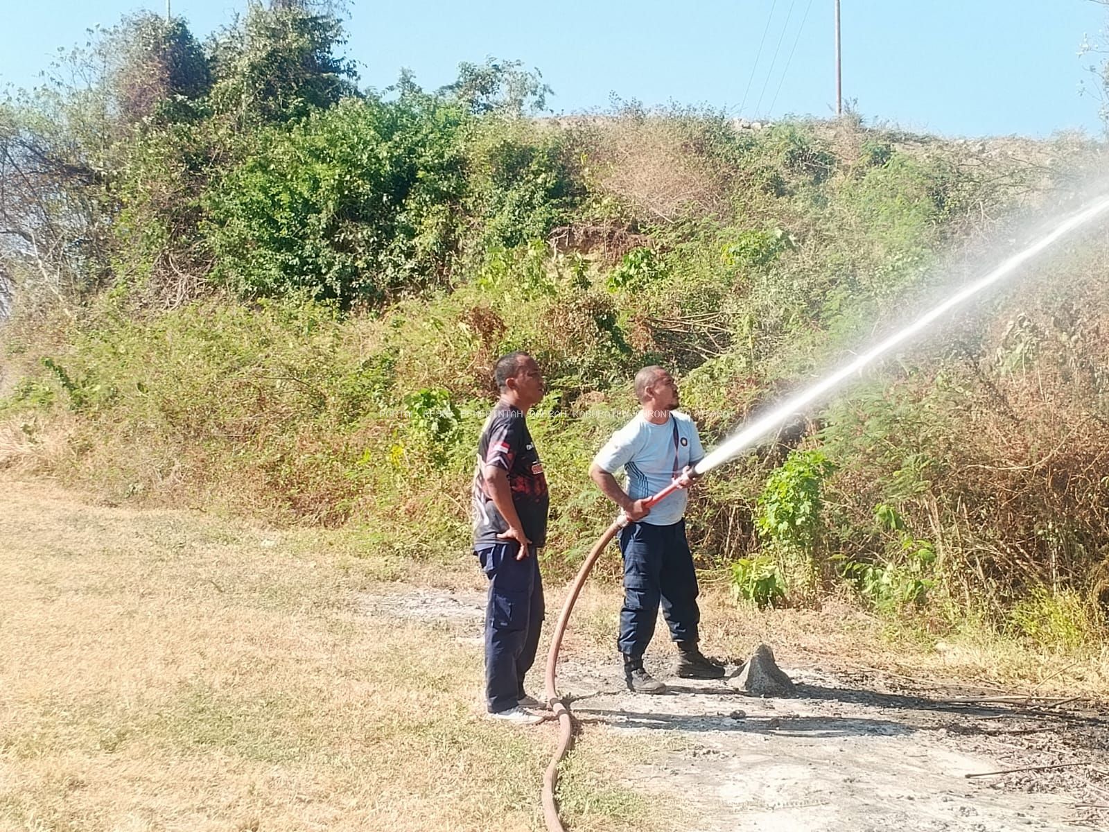 Satpol PP dan Damkar Gorontalo Utara Gerak Cepat Padamkan Kebakaran Lahan di Sekitar PLTU Anggrek